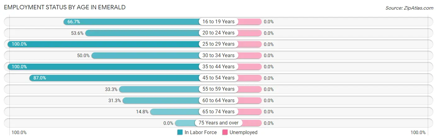 Employment Status by Age in Emerald