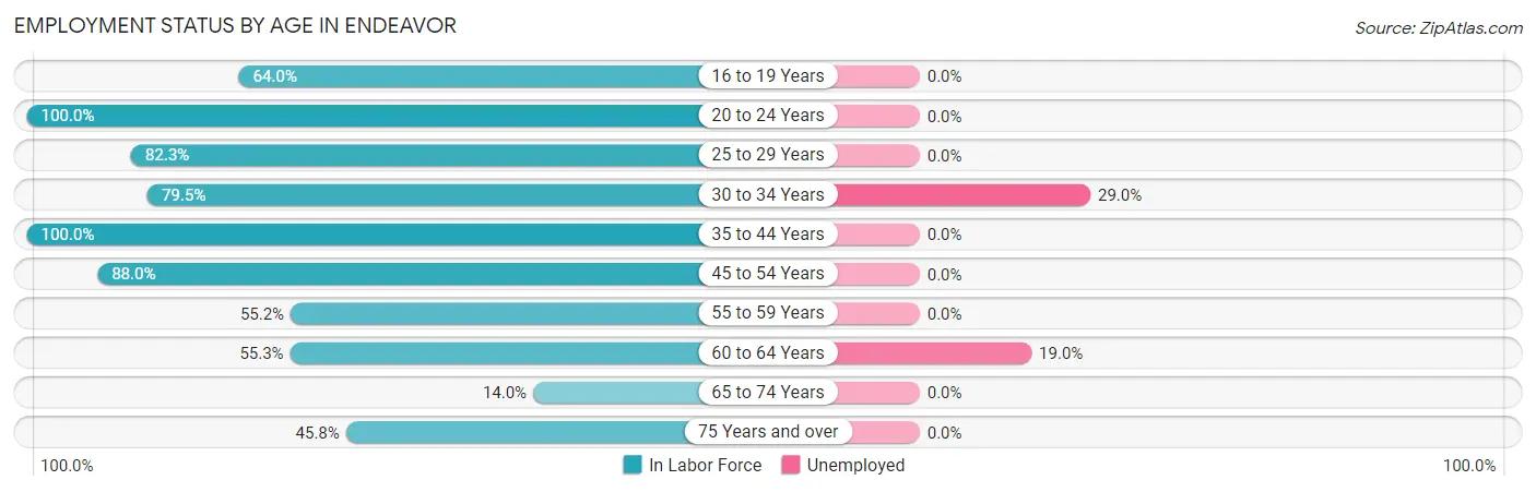 Employment Status by Age in Endeavor