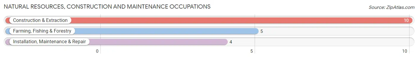 Natural Resources, Construction and Maintenance Occupations in Fenwood