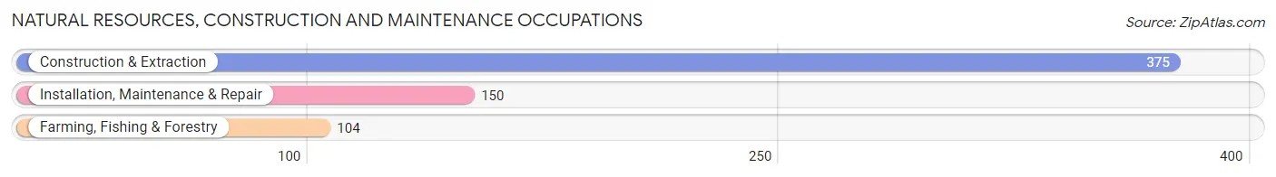 Natural Resources, Construction and Maintenance Occupations in Fort Atkinson