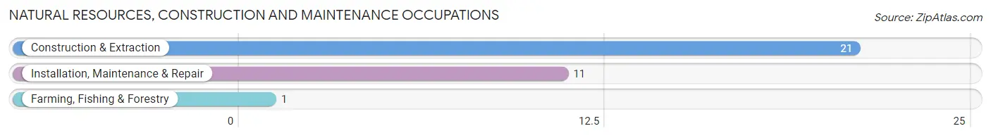 Natural Resources, Construction and Maintenance Occupations in Francis Creek