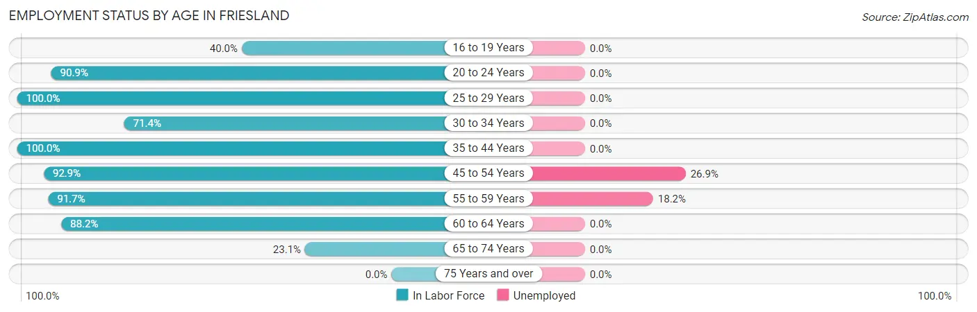 Employment Status by Age in Friesland