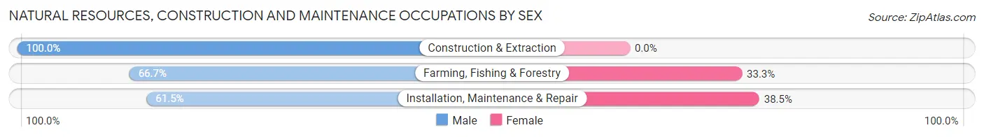 Natural Resources, Construction and Maintenance Occupations by Sex in Friesland