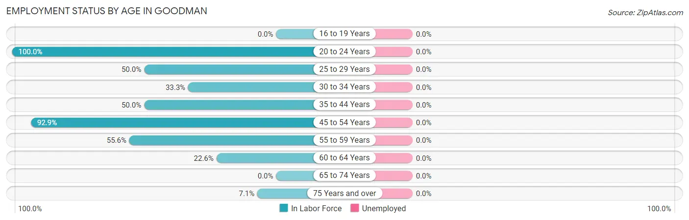 Employment Status by Age in Goodman