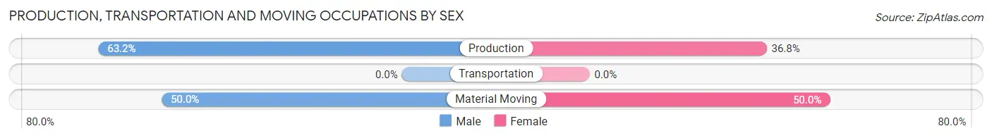 Production, Transportation and Moving Occupations by Sex in Gotham