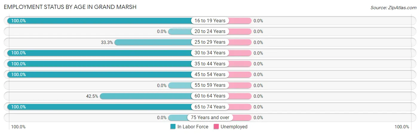 Employment Status by Age in Grand Marsh