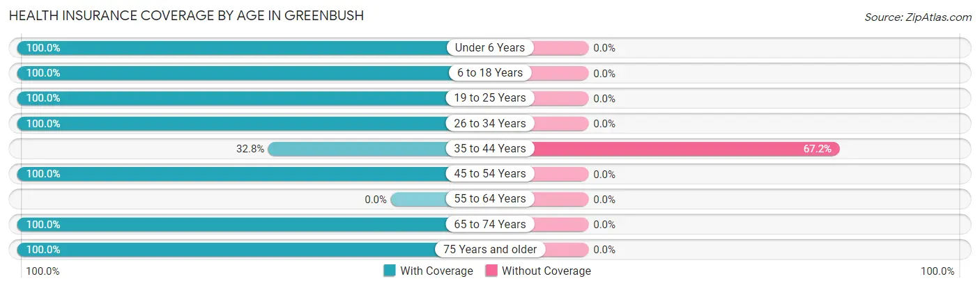 Health Insurance Coverage by Age in Greenbush