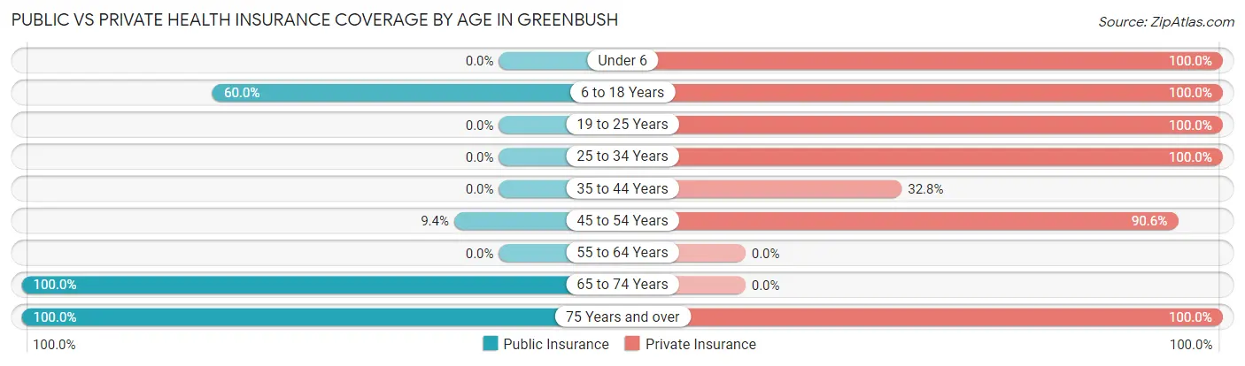 Public vs Private Health Insurance Coverage by Age in Greenbush