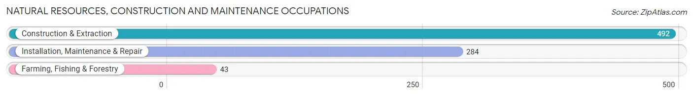 Natural Resources, Construction and Maintenance Occupations in Hartford