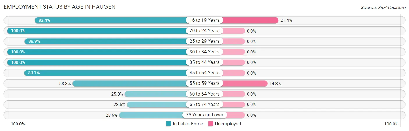 Employment Status by Age in Haugen