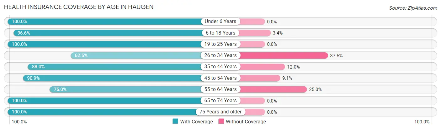 Health Insurance Coverage by Age in Haugen