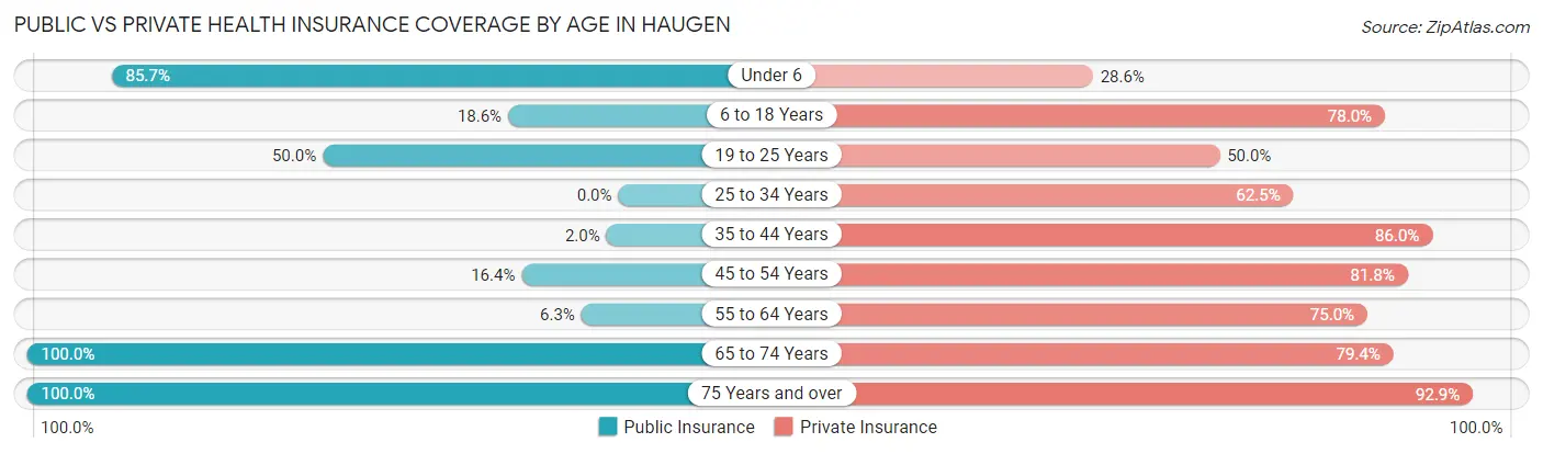 Public vs Private Health Insurance Coverage by Age in Haugen
