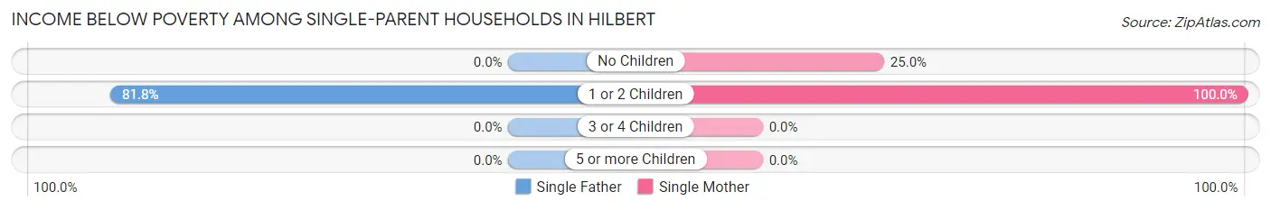 Income Below Poverty Among Single-Parent Households in Hilbert