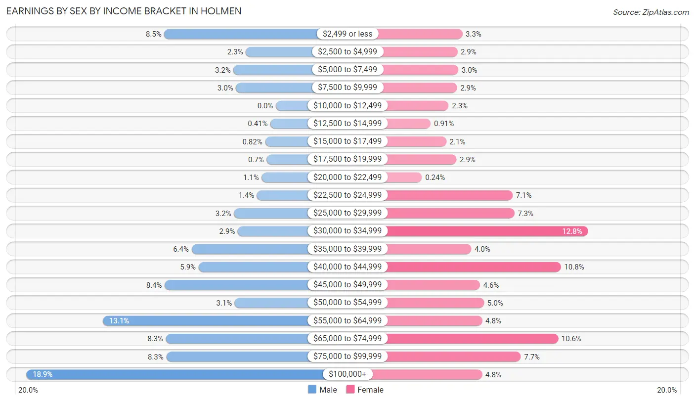 Earnings by Sex by Income Bracket in Holmen