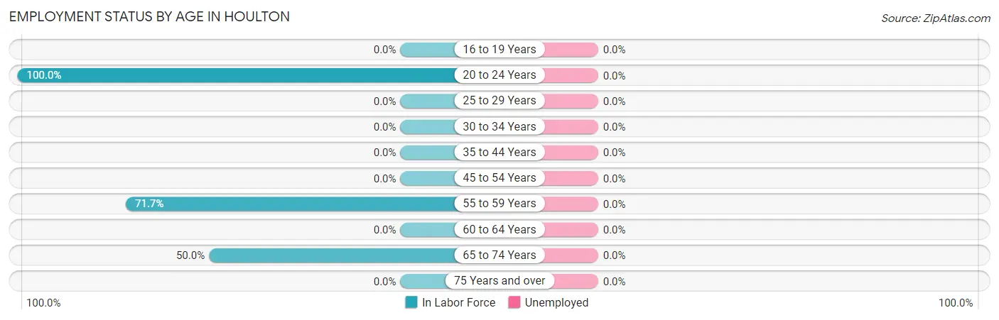 Employment Status by Age in Houlton