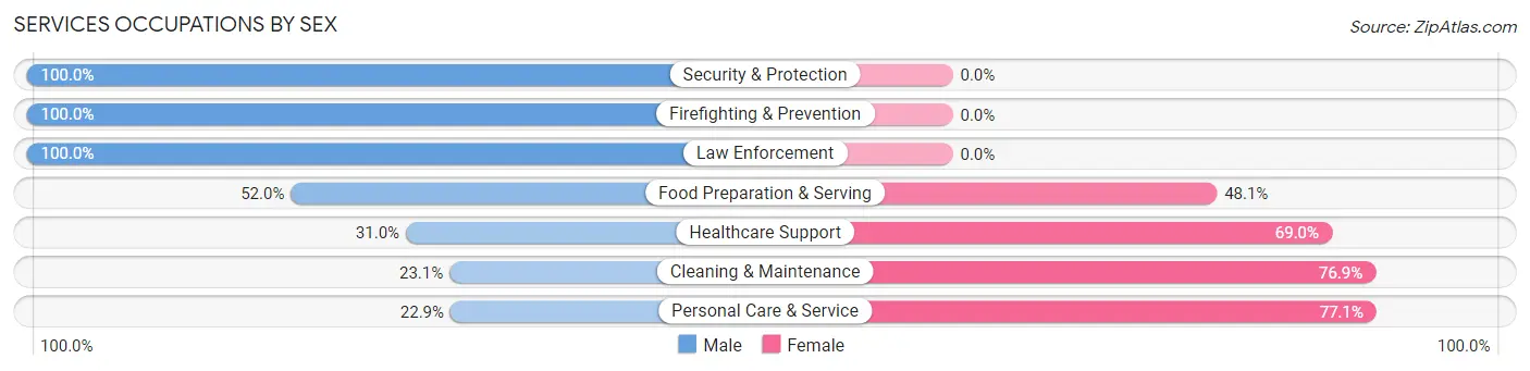 Services Occupations by Sex in Howards Grove