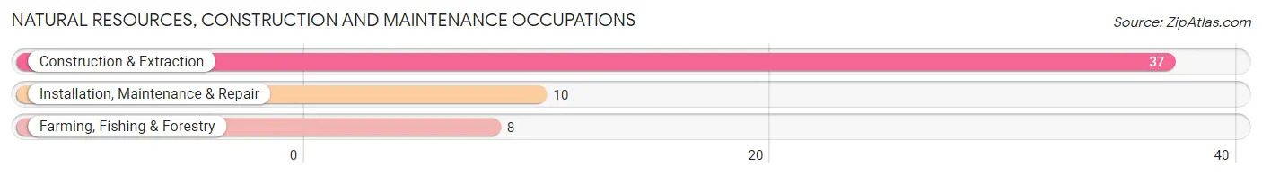 Natural Resources, Construction and Maintenance Occupations in Independence