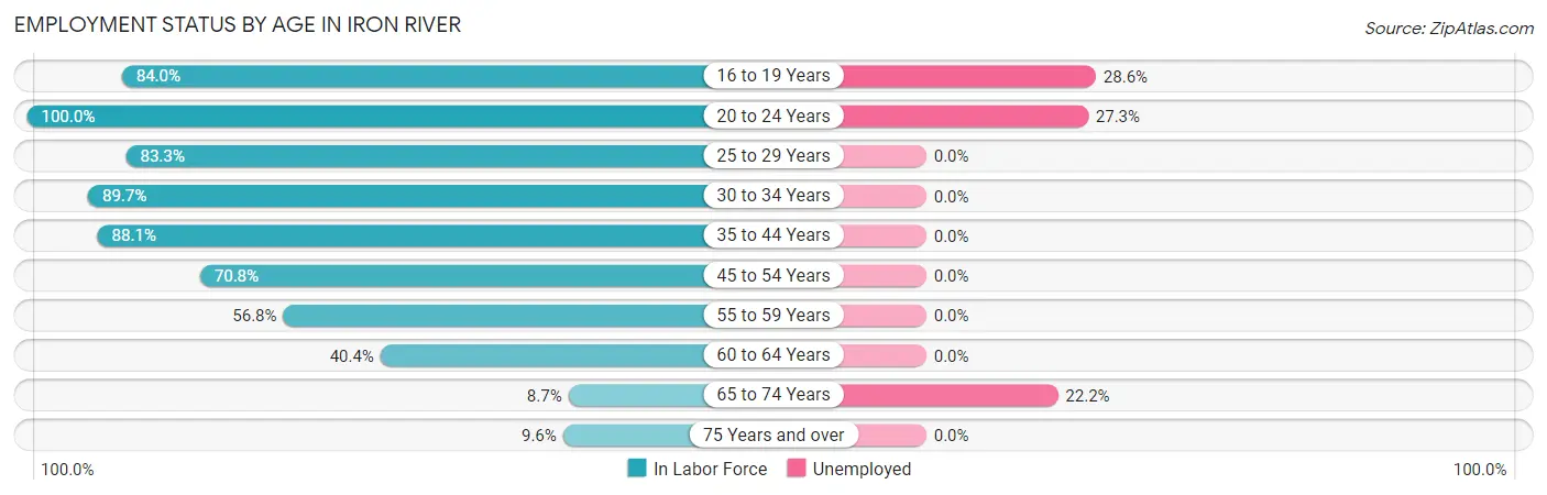 Employment Status by Age in Iron River