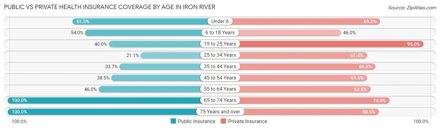 Public vs Private Health Insurance Coverage by Age in Iron River