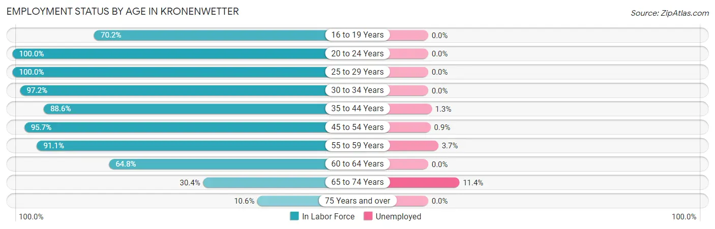 Employment Status by Age in Kronenwetter