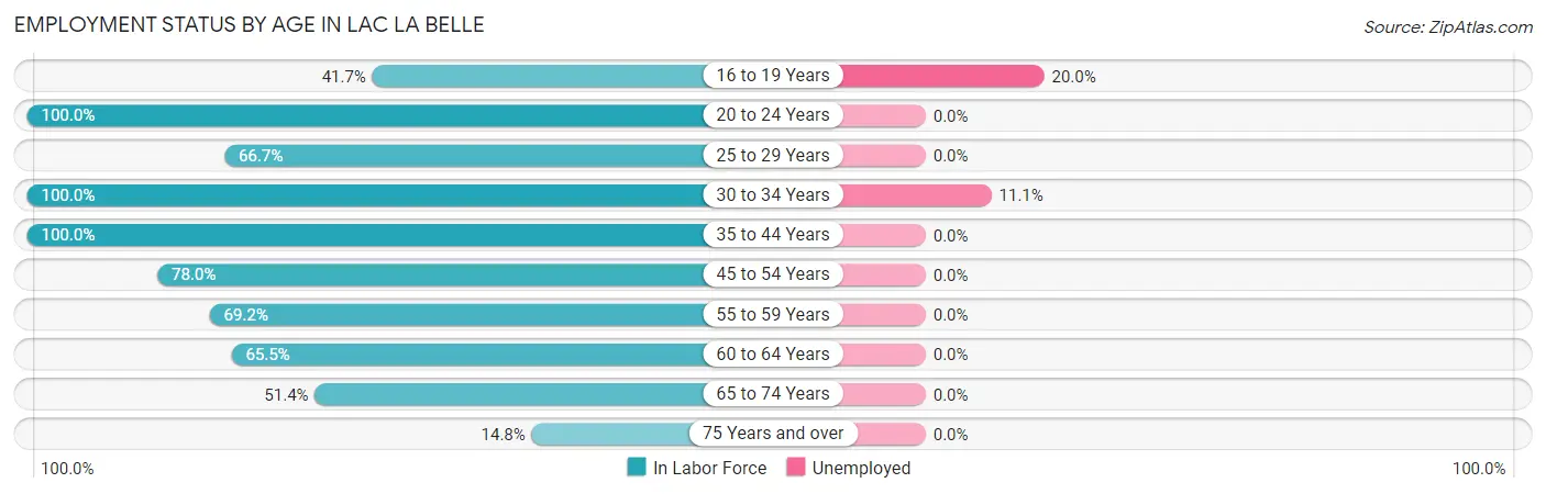 Employment Status by Age in Lac La Belle