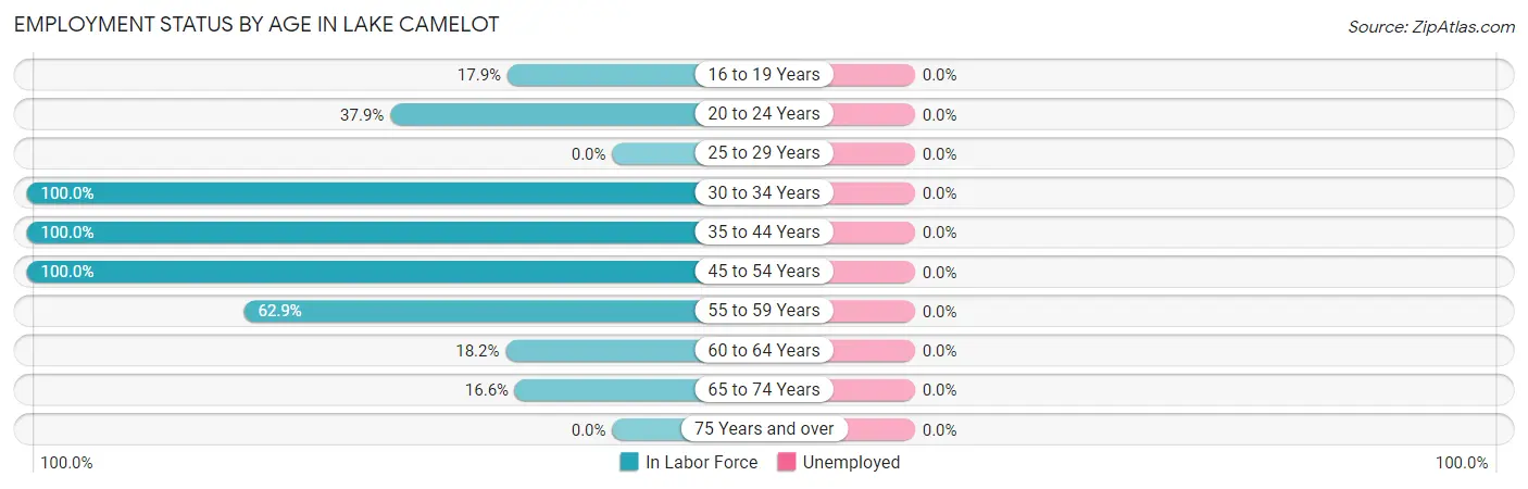 Employment Status by Age in Lake Camelot