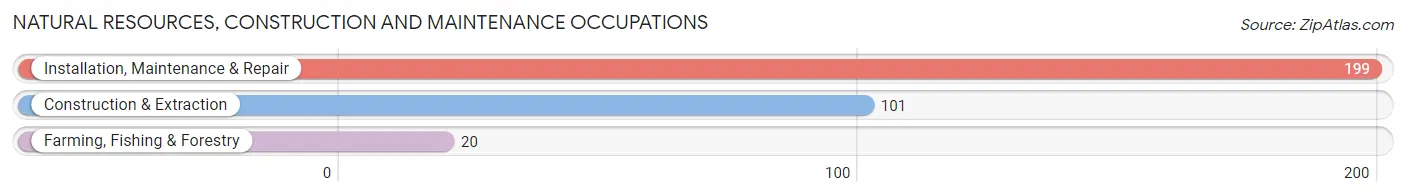 Natural Resources, Construction and Maintenance Occupations in Lake Geneva