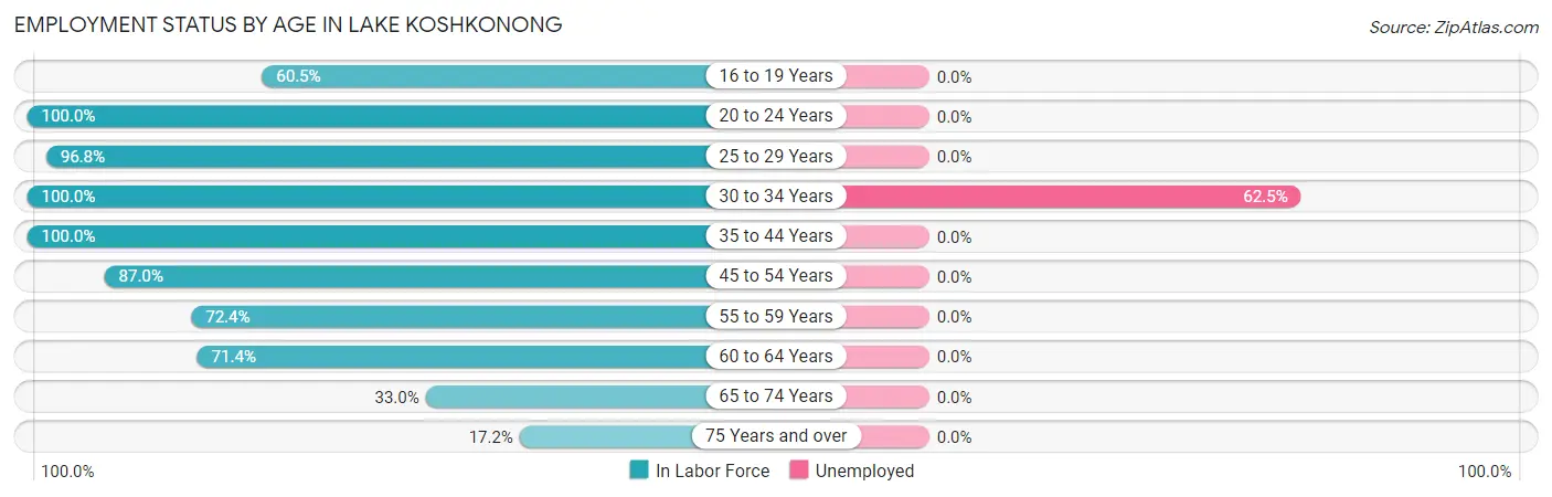 Employment Status by Age in Lake Koshkonong