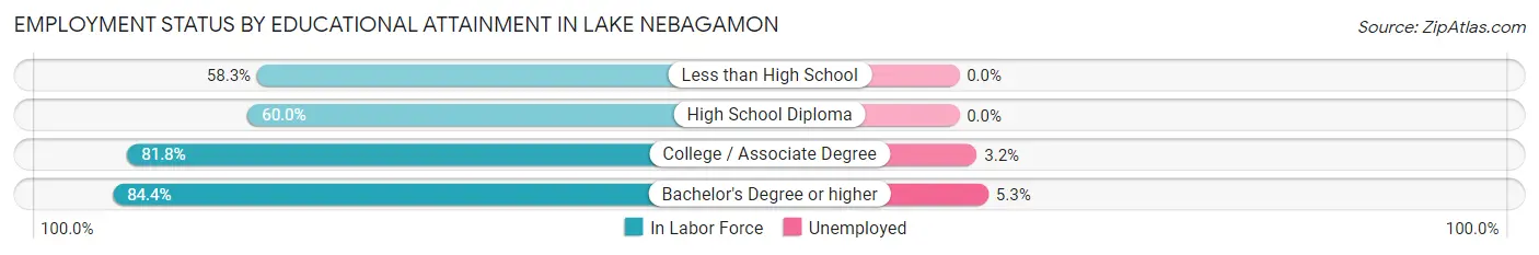 Employment Status by Educational Attainment in Lake Nebagamon