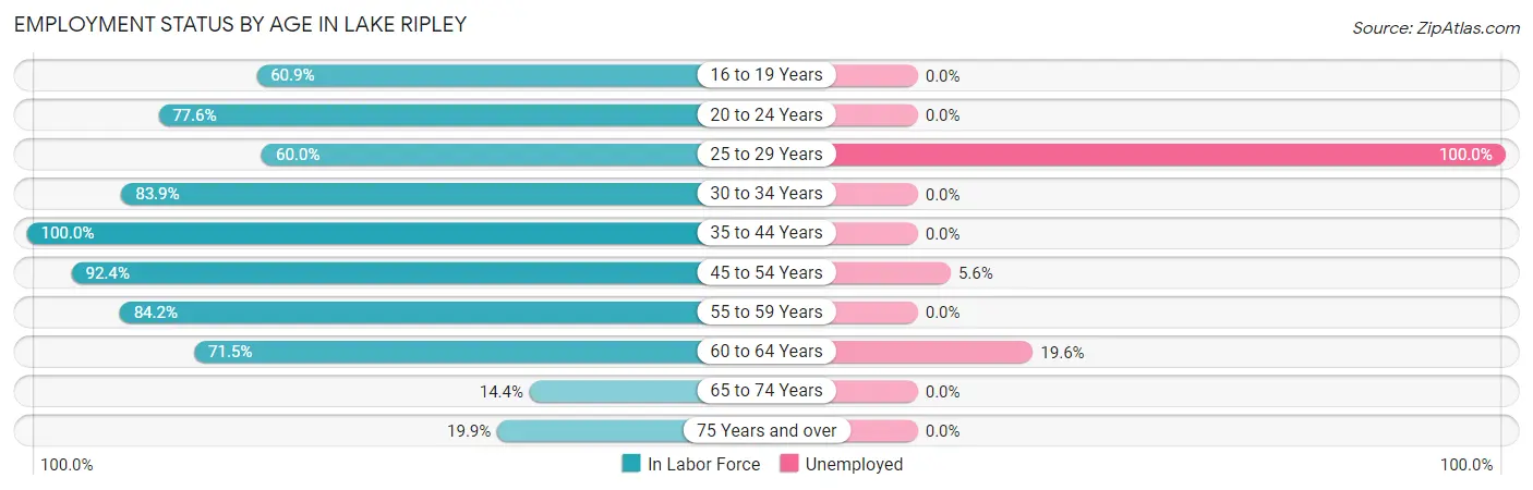 Employment Status by Age in Lake Ripley