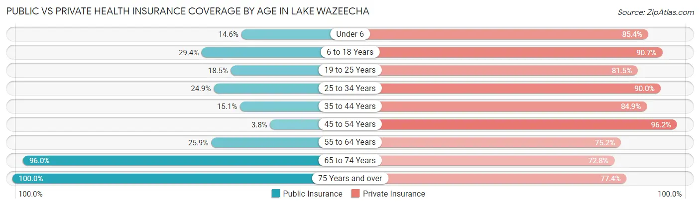 Public vs Private Health Insurance Coverage by Age in Lake Wazeecha