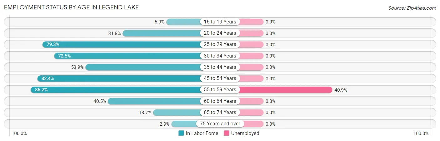 Employment Status by Age in Legend Lake