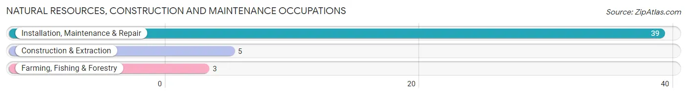 Natural Resources, Construction and Maintenance Occupations in Lena