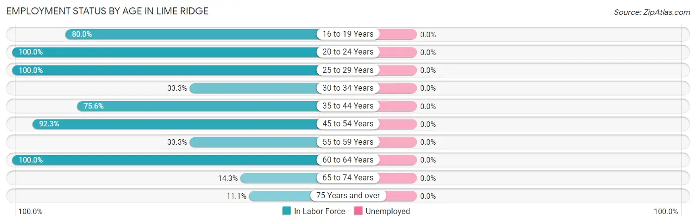 Employment Status by Age in Lime Ridge