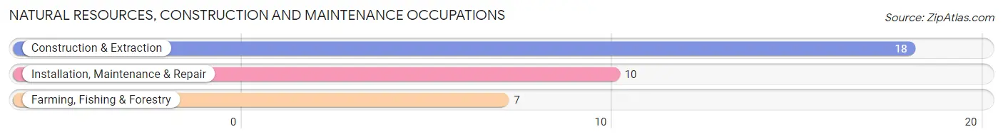 Natural Resources, Construction and Maintenance Occupations in Linden