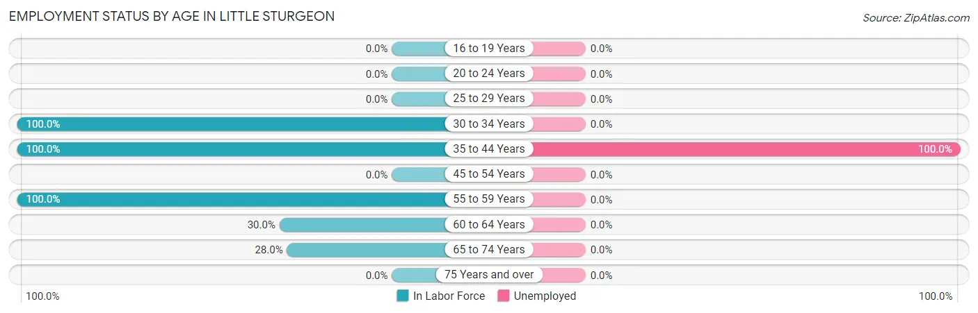 Employment Status by Age in Little Sturgeon