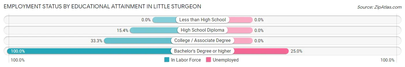 Employment Status by Educational Attainment in Little Sturgeon