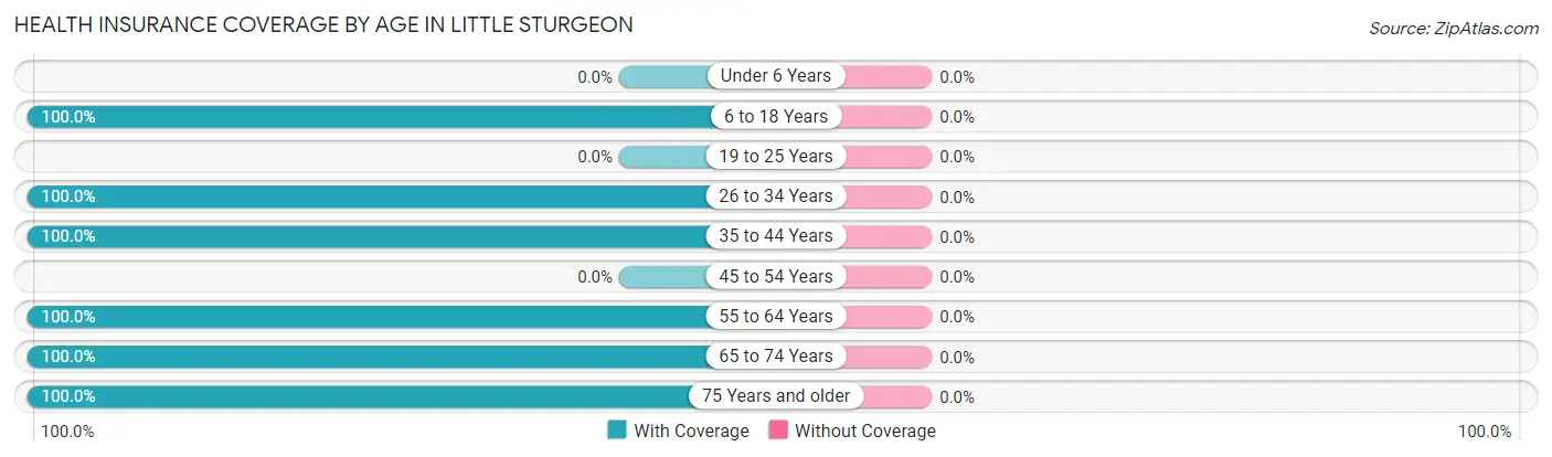 Health Insurance Coverage by Age in Little Sturgeon