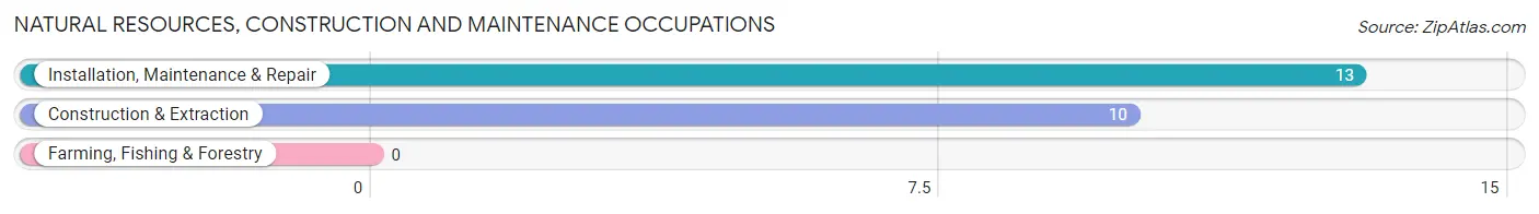 Natural Resources, Construction and Maintenance Occupations in Lohrville