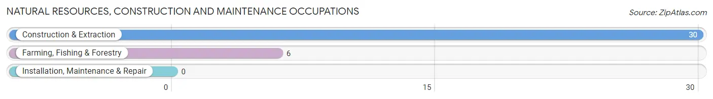 Natural Resources, Construction and Maintenance Occupations in Long Lake