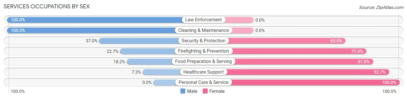 Services Occupations by Sex in Maine