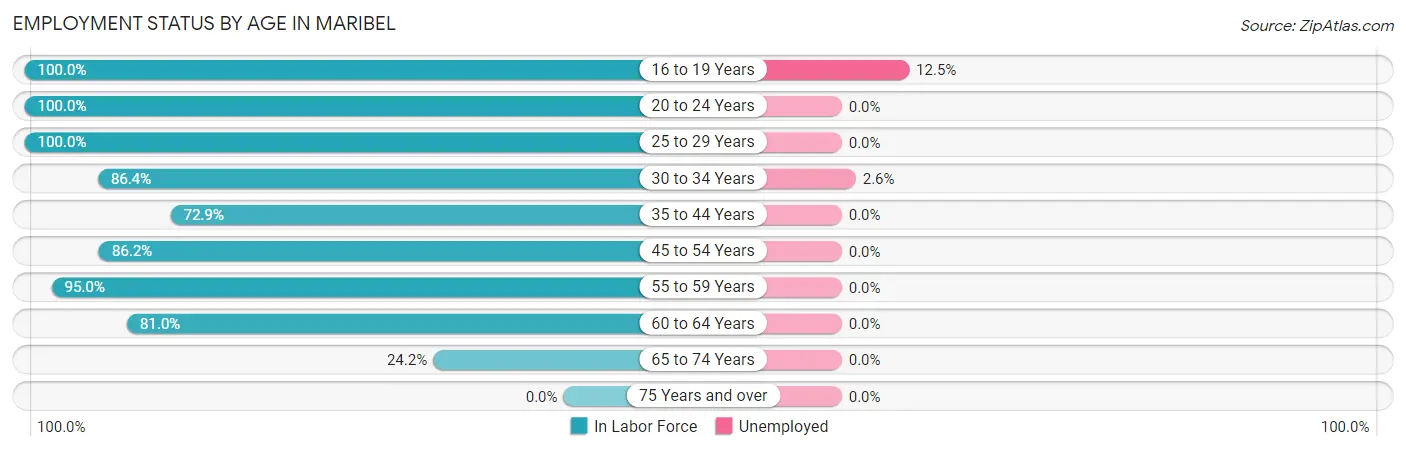 Employment Status by Age in Maribel