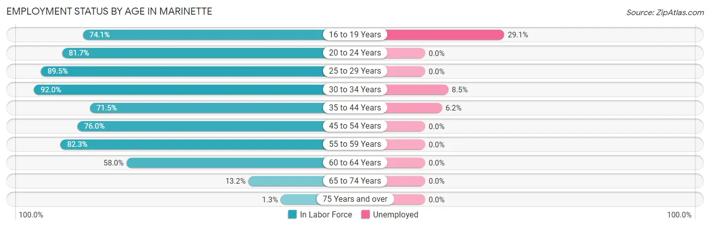 Employment Status by Age in Marinette