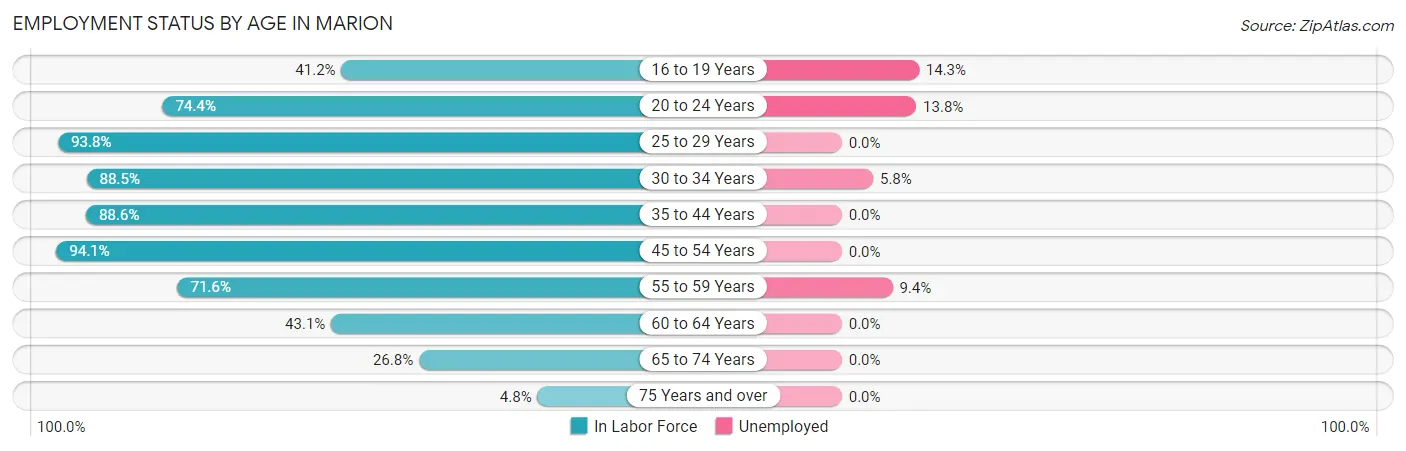 Employment Status by Age in Marion