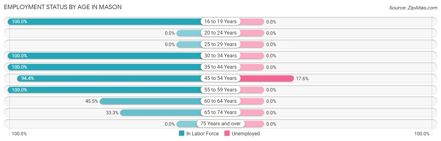 Employment Status by Age in Mason