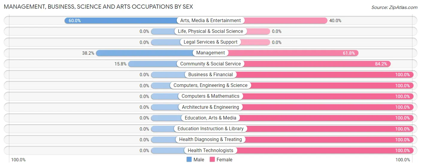 Management, Business, Science and Arts Occupations by Sex in Mellen