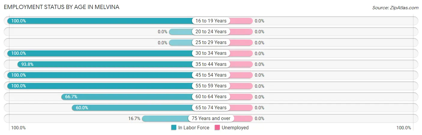 Employment Status by Age in Melvina