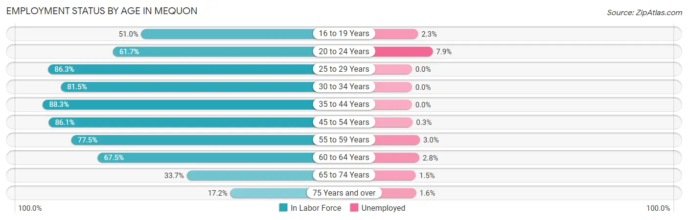 Employment Status by Age in Mequon