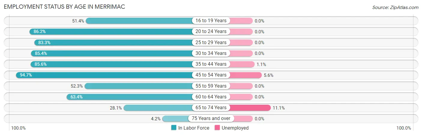 Employment Status by Age in Merrimac