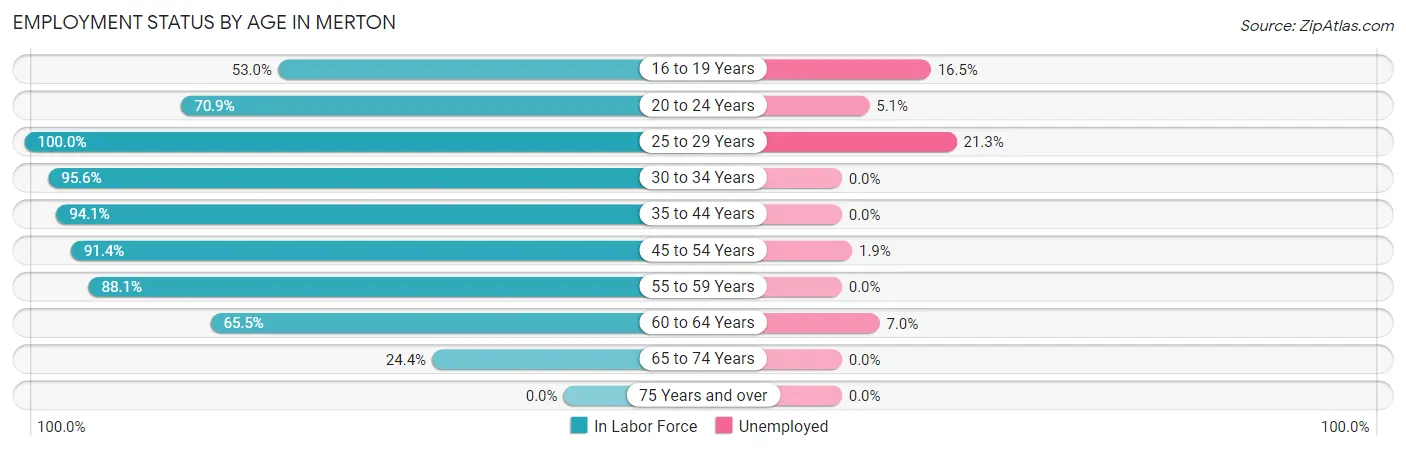 Employment Status by Age in Merton